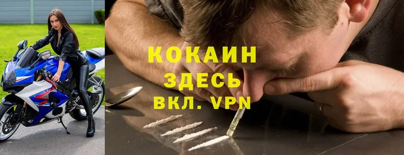 Cocaine Fish Scale  darknet Telegram  Лангепас  наркота 